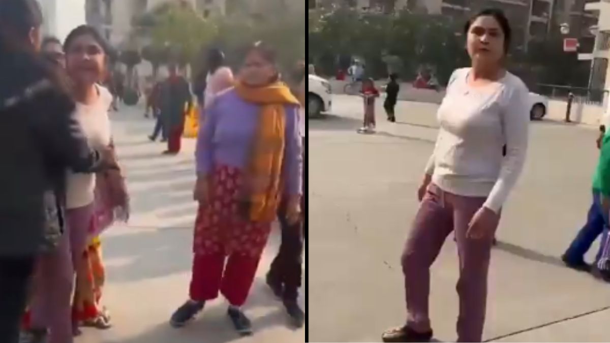 Noida Woman's Shocking Assault on 6-Year-Old: Viral Video Ignites Public Fury